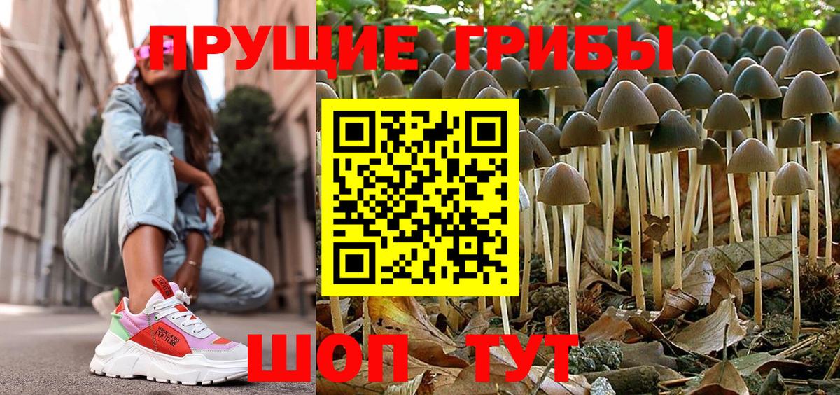 Галлюциногенные грибы Psilocybine cubensis Унеча