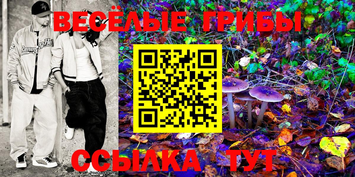 Унеча  Псилоцибиновые грибы прущие грибы  купить закладку  Псилоцибиновые грибы ЛСД  Вход с VPN 